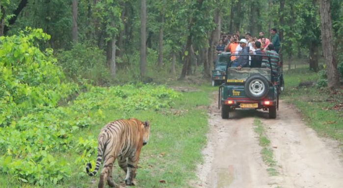 Bandipur tour package