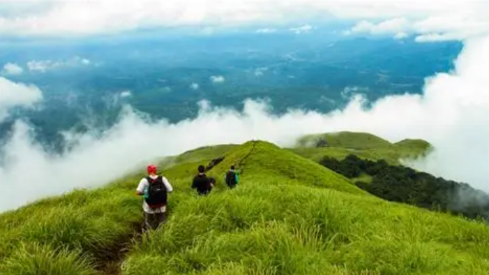 Wayanad tour package