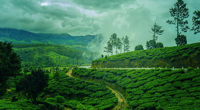 Munnar tour package